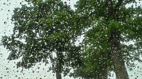Regentropfen sind an einer Scheibe eines Autos zu sehen. Nach vielen Tagen mit Hitze und Trockenheit bringt ein Regengebiet Abkühlung und Niederschläge.