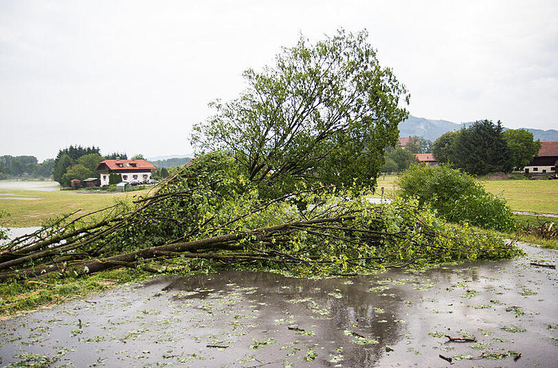 Schwere Unwetter im Berchtesgadener Land sorgten am Samstag für reichlich Chaos auf den Straßen. Die Bilder.