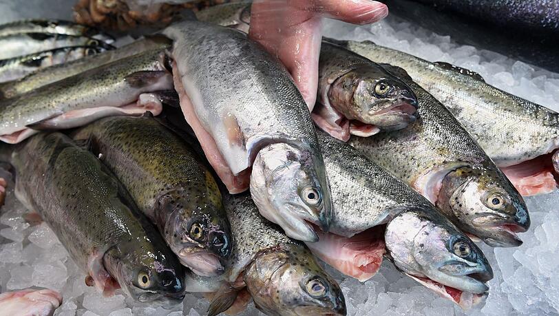 Die EU-Kommission will den Fischfang reformieren (Archivbild)