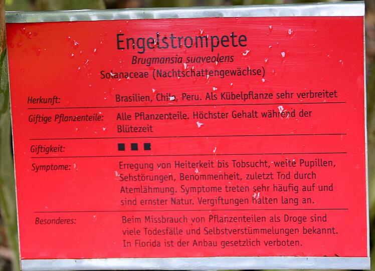 Auflösung siehe Tafel