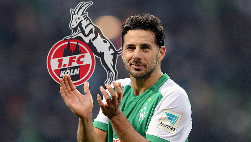 Claudio Pizarro steht vor einer Verpflichtung in Köln. Claudio Pizarro steht vor einer Verpflichtung in Köln.