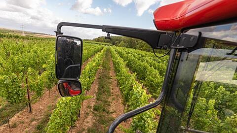 Ein Traubenvollernter erntet auf einem Weinberg des Weinguts Schmitt die Sorte Ortega. Foto: Nicolas Armer/dpa