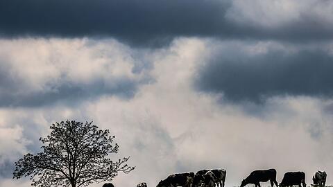 Zwischen dem Alpenrand und der Lausitz werden laut DWD am Montag teils starke Gewitter erwartet. (Archivbild)