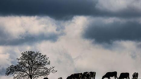 Zwischen dem Alpenrand und der Lausitz werden laut DWD am Montag teils starke Gewitter erwartet. (Archivbild)