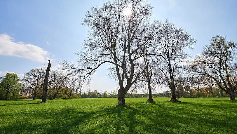 Auf einer Wiese der Siegaue nahe der Bonner Stadtgrenze wurden die junge Camperin und ihr Freund überfallen. Auf einer Wiese der Siegaue nahe der Bonner Stadtgrenze wurden die junge Camperin und ihr Freund überfallen.