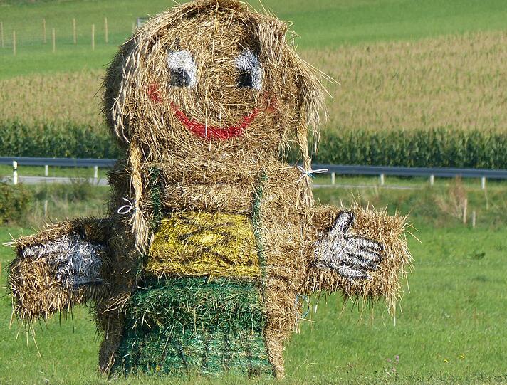 Ein Strohmann als Hinweisschild an der Straßenzufahrt nach Geltendorf.
Da lohnt sich ein kurzer Stopp für dieses wunderschöne Motiv.
Zum Glück hatte Wunibald Wörle die Kamera dabei.