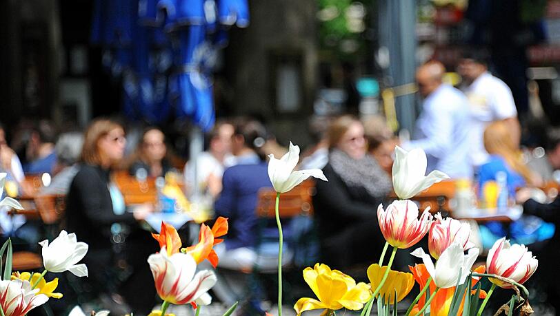 In der kommenden Woche dürfen sich die Münchenr über perfektes Biergarten-Wetter freuen In der kommenden Woche dürfen sich die Münchenr über perfektes Biergarten-Wetter freuen