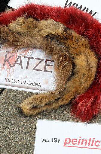 Und nochmal China...
