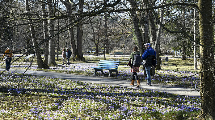 Dieses Wochenende wird es besonders sonnig. Da lohnt sich ein Besuch im Botanischen Garten in Nymphenburg. Hier können Sie erste Frühlingsboten, wie etwa Krokusse, blühen sehen. Noch bis Ende des Monats ist der Eintritt auf das Freigelände gratis.