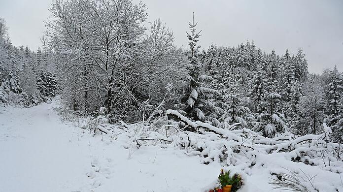 Unbekannte haben am Fundort der ermordeten Luise Blumen aufgestellt.