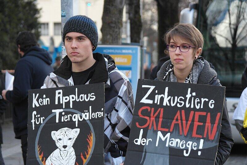Die Tierrechtler finden deutliche Worte: Zirkustiere sind Sklaven.