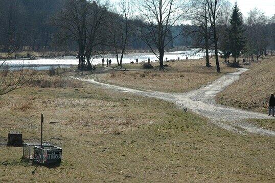 ... sind im Januar und Februar gestutzt worden. Dabei handelt es sich um eine jährliche Maßnahme für den Hochwasserschutz, teilt die Stadt mit.