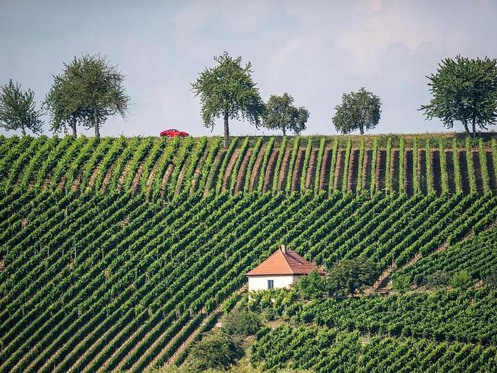 Ein Sportwagen fährt bei bestem Wetter an einem Weinberg entlang. Foto: Lino Mirgeler/dpa/Archivbild
