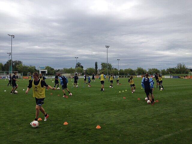 Die Löwen im Trainingslager - die Bilder vom zweiten Tag in Neusiedl am See