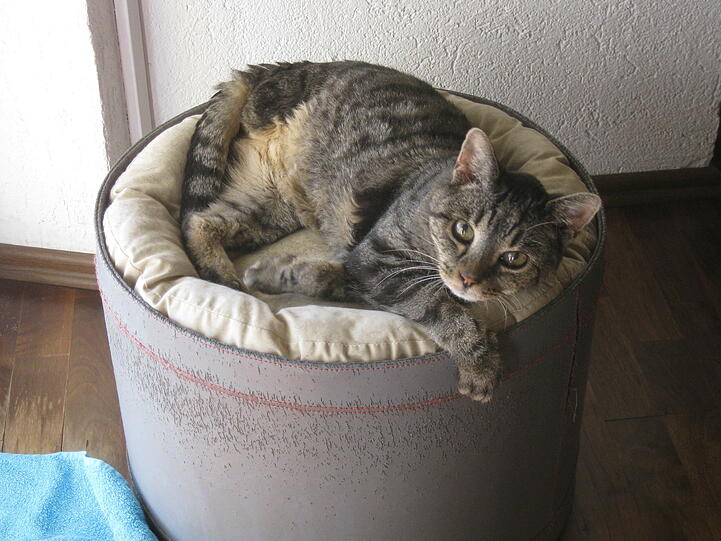 Giacomo