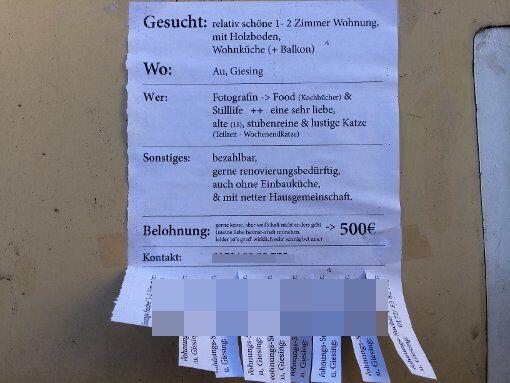 ...dieser Suchende, der 500 Euro Belohung ausgesetzt hat. "Weil's halt nicht anders geht."