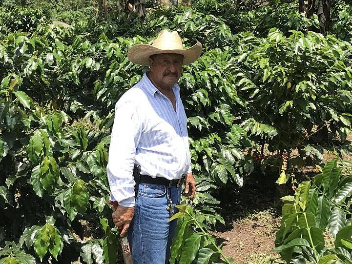 Der Kaffeebauer Jose de Leon steht auf einer Plantage im guatemaltekischen Department San Marcos. Wegen des niedrigen Weltmarktpreises sehen die Erzeuger ihre Existenz gefährdet. Viele versuchen, in die USA auszuwandern.