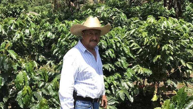 Der Kaffeebauer Jose de Leon steht auf einer Plantage im guatemaltekischen Department San Marcos. Wegen des niedrigen Weltmarktpreises sehen die Erzeuger ihre Existenz gefährdet. Viele versuchen, in die USA auszuwandern. Der Kaffeebauer Jose de Leon steht auf einer Plantage im guatemaltekischen Department San Marcos. Wegen des niedrigen Weltmarktpreises sehen die Erzeuger ihre Existenz gefährdet. Viele versuchen, in die USA auszuwandern.