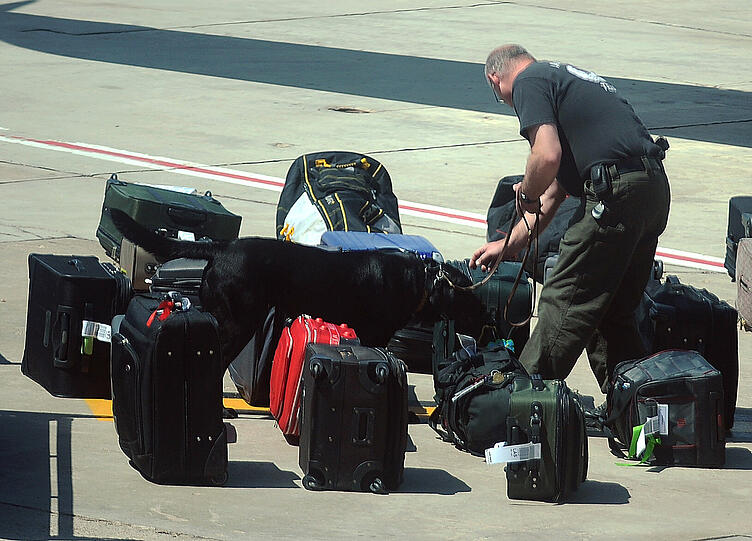 Polizisten in Texas durchsuchen die Gepäckstücke.