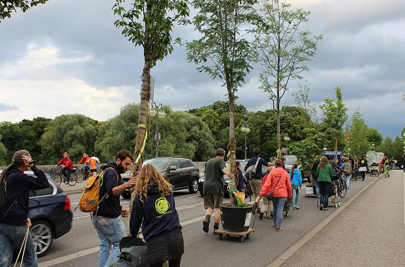 Rollende und wandernde Bäume: Solche großen Töpfe mit jungen Bäumen begrünen ab heute die Rosenheimer Straße.