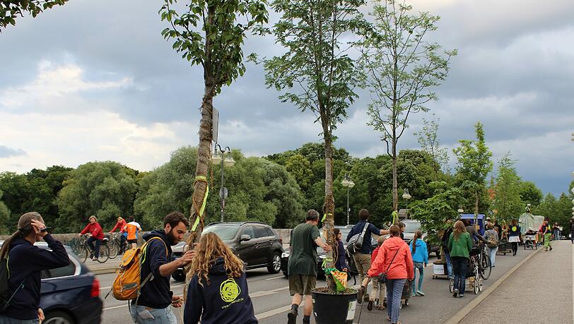Rollende und wandernde Bäume: Solche großen Töpfe mit jungen Bäumen begrünen ab heute die Rosenheimer Straße. Rollende und wandernde Bäume: Solche großen Töpfe mit jungen Bäumen begrünen ab heute die Rosenheimer Straße.