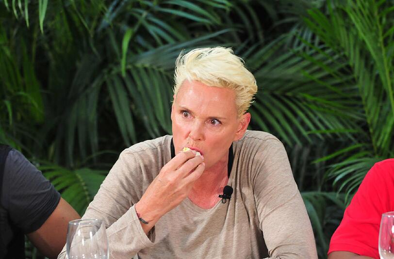 Brigitte Nielsen & Co. sorgten beim Dschungelcamp-Start für sehr gute Quoten.