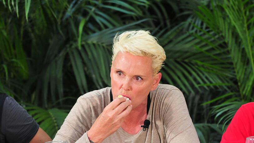 Brigitte Nielsen & Co. sorgten beim Dschungelcamp-Start für sehr gute Quoten. Brigitte Nielsen & Co. sorgten beim Dschungelcamp-Start für sehr gute Quoten.