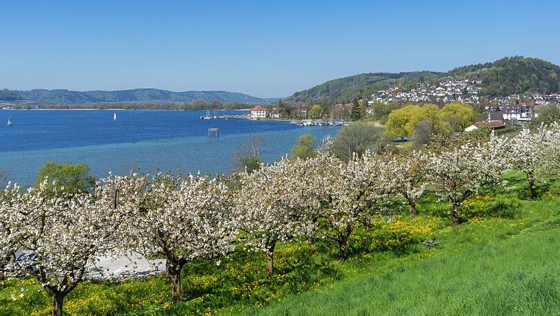 Die Marienschlucht liegt bei Bodman-Ludwigshafen am Bodensee.