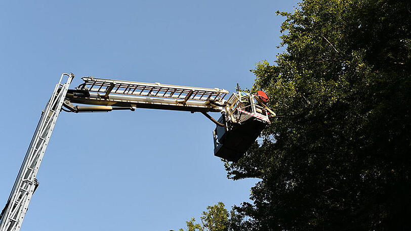 Stundenlang hing der 60-Jährige im Baum fest, eher er gerettet werden konnte.