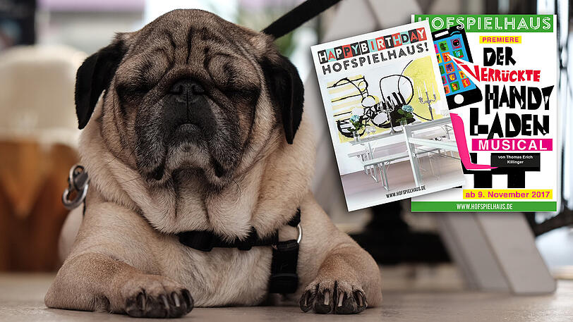 Im Hofspielhaus wird wieder gespielt - neben einer großen Geburtstagsparty und einer Musical-Premiere geht's auch mal um den Hofspielhaus-Mops.