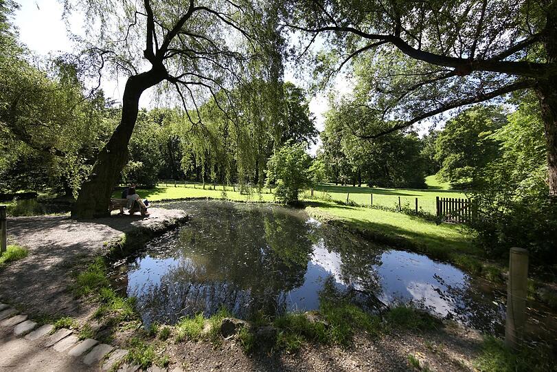 Wunderschön eingewachsener Teich - das Jagdrevier des Reihers.