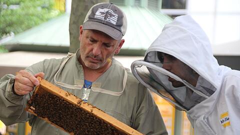 Imker Andrew Coté (l.) checkt gemeinsam mit einem Helfer die Bienenstöcke im New Yorker Bryant Park. Imkern in New York wird immer beliebter.