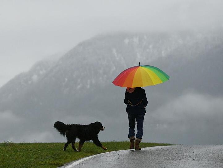 Eine Frau mit Regenschirm führt ihren Hund Gassi bei nasskaltem Wetter. Foto: Angelika Warmuth/dpa