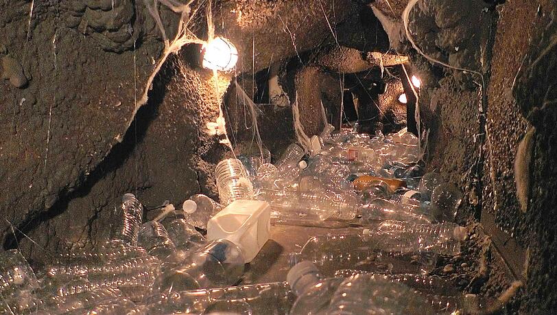 Neben M&uuml;ll und Fleischabf&auml;llen erwarteten Hubert Fella auch kleine Tierchen.