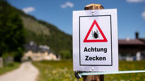 Ein Zecken-Warnschild in einem Wandergebiet in Oberbayern. (Archivbild)