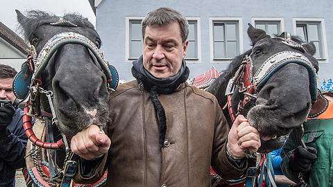 Hier hält er schon die Zügel: Markus Söder auf dem Berchinger Rossmarkt.
