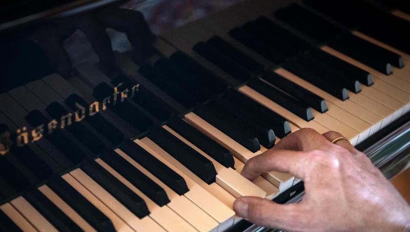 Ein Flügel der Wiener Klavierfabrik Bösendorfer steht im Wohnzimmer der Familie Zeitler. Foto: Sina Schuldt/dpa/Archivbild Ein Flügel der Wiener Klavierfabrik Bösendorfer steht im Wohnzimmer der Familie Zeitler. Foto: Sina Schuldt/dpa/Archivbild