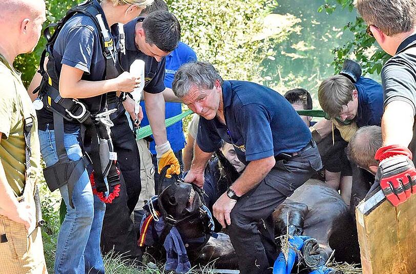 Das Pferd wurde erst ruhig gestellt und dann mittels Seilwinde gerettet.