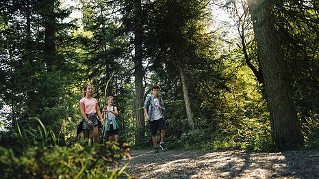 In der Gegend rund um Kreuth gibt es viele Wanderm&ouml;glichkeiten &ndash; wie zum Beispiel hier im Wei&szlig;achtal.