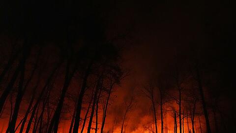 Seit dem Ausbruch des Waldbrandes in New Jersey am Dienstagmorgen breiten sich die Flammen schnell aus.