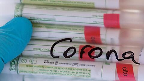 Proben für Corona-Tests werden einem Labor für die weitere Untersuchung vorbereitet. Foto: Hendrik Schmidt/dpa-Zentralbild/ZB/Symbolbild