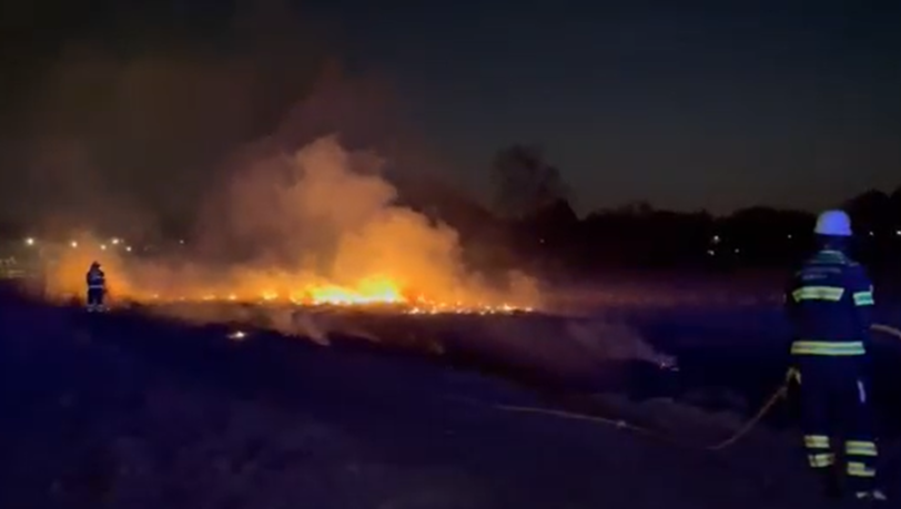 Die Feuerwehr brachte das Feuer auf der etwa 50 Quadratmeter großen Freifläche in der Lauinger Straße schnell unter Kontrolle.