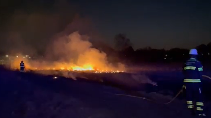 Die Feuerwehr brachte das Feuer auf der etwa 50 Quadratmeter großen Freifläche in der Lauinger Straße schnell unter Kontrolle.