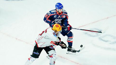Der bisherige Spieler bei Bremerhaven, Philip Samuelsson (vorne), und Mannheims Luca Tosto kämpfen um den Puck. Samuelsson wechselt zu den Straubing Tigers.