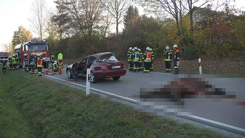 Ein Mercedes mit Totalschaden, ein schwerverletzter Autofahrer und zwei tote Pferde auf der Landstraße. Die schrecklichen Bilder aus Gangkofen