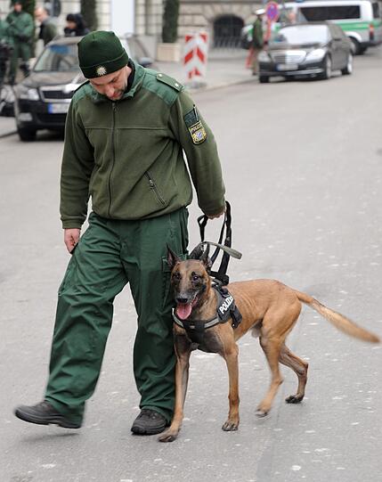 Sicherheitskoferenz: Hunde schnüffeln an den Gullis, die Polizei filzt den Bereich um den Bayerischen Hof. Die Bilder aus der Münchner City...