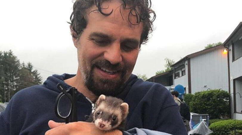 Mark Ruffalo macht auch mit Frettchen eine gute Figur