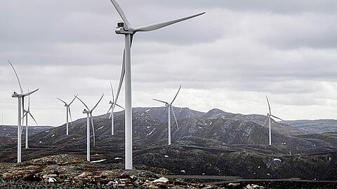 Wo diese Windräder in Roan stehen, zogen früher die indigenen Sami mit ihren Rentieren umher.