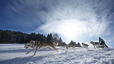 Teams aus etlichen L&auml;ndern in Europas gingen im bayerisch-&ouml;sterreichischen Grenzgebiet an den Start.