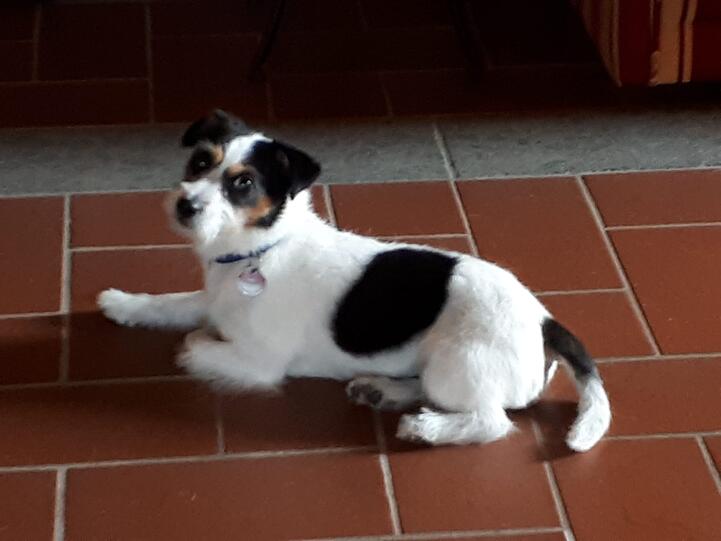 Ella